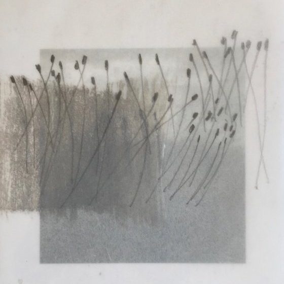 Culture Connect meets Kejoo Park Art